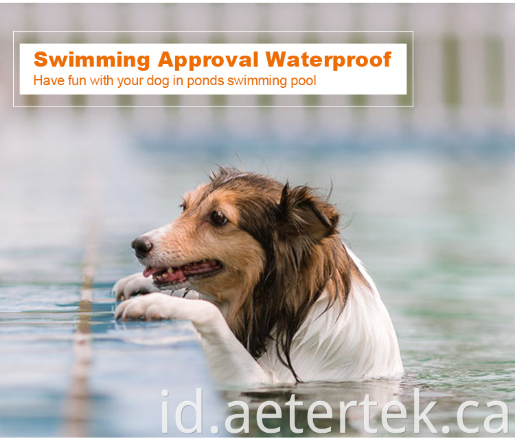 Dog Training Collar Waterproof